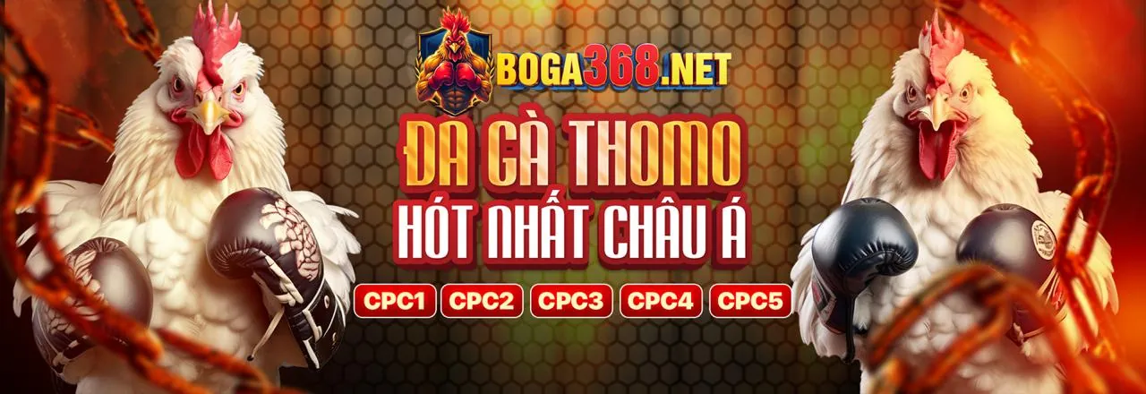 Đá Gà Trực Tuyến HB88 Link Mới 2026